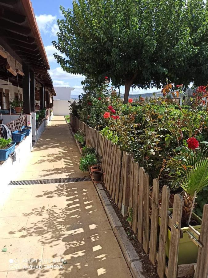 Casa Rural Alamillo Luque Екстер'єр фото