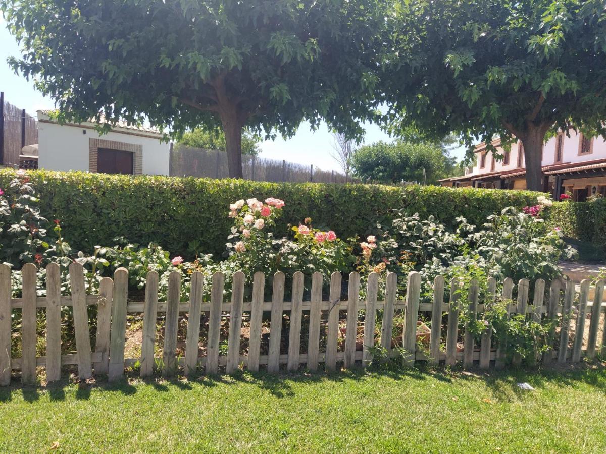 Casa Rural Alamillo Luque Екстер'єр фото