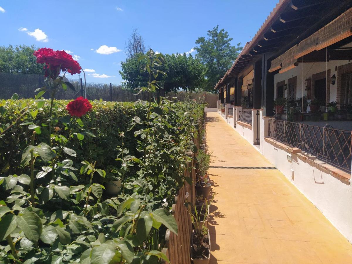 Casa Rural Alamillo Luque Екстер'єр фото
